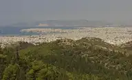 56465