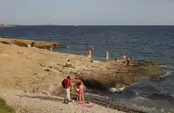 56480