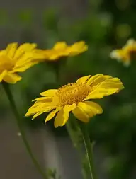5684