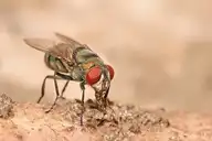 5686