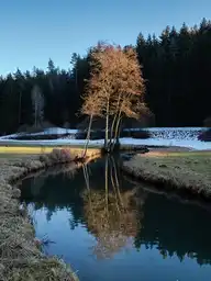 56955