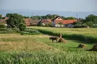 57046