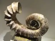 57280