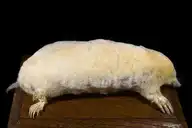 572