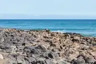 58221