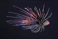 5822