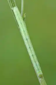 5829