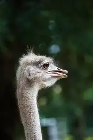 58304