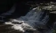 58454