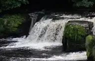 58460