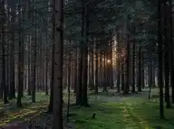58722