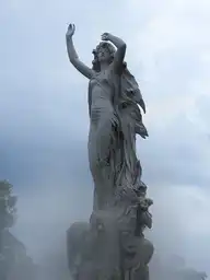 59626