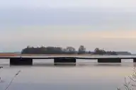 59751