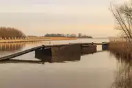 59753