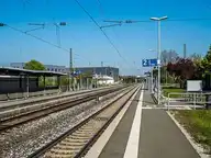 60043