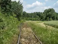 60072
