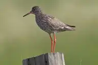 6012