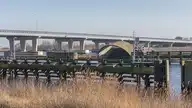 60426