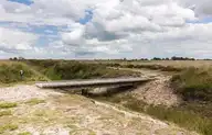 60542