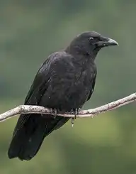 6103
