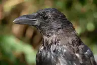 6105