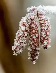 6108