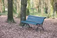 61625