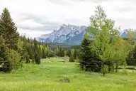 61720