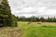 61749