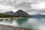 61773