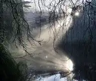 6184