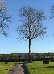 62279