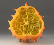 6263