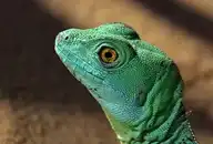 62921