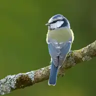6292