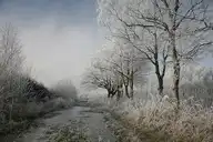 6337