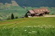 63646