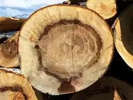 64492
