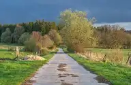 64658