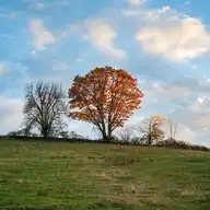 64793