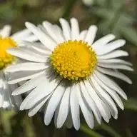 65148