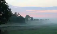 6530