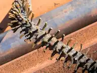 65552
