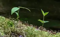 65656