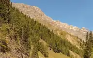 66439