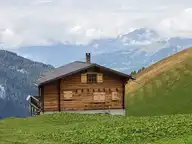 66596