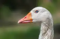 6659