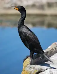 6691