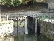 67009