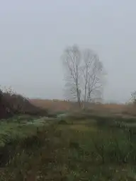 67119